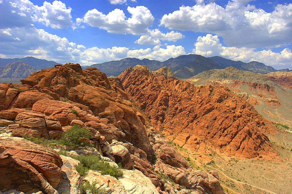 Mojave Desert: Desert in the southwestern United States