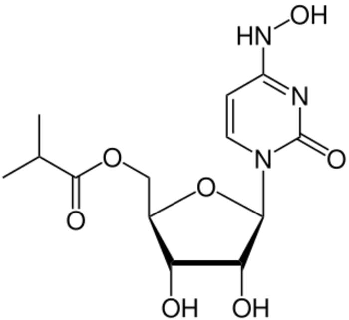 Molnupiravir: Antiviral medication