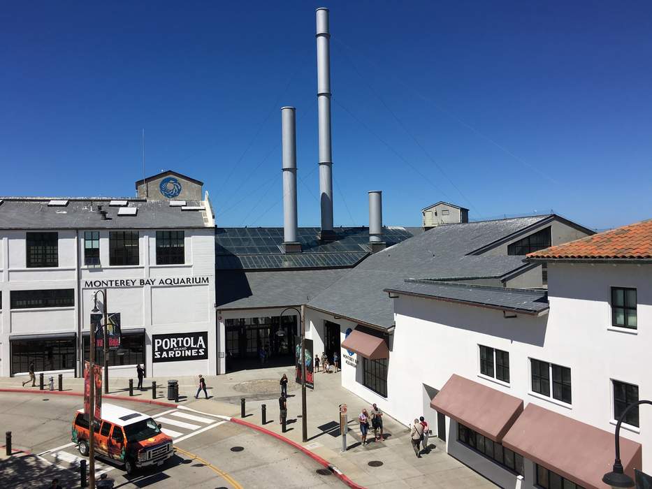 Monterey Bay Aquarium: Nonprofit public aquarium in Monterey, California, United States