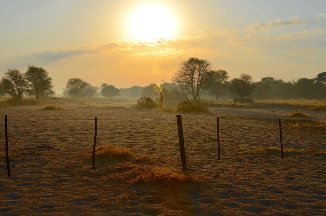 Morning: Period of time from sunrise to noon