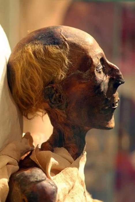 Mummy: Human or animal whose skin and organs have been preserved