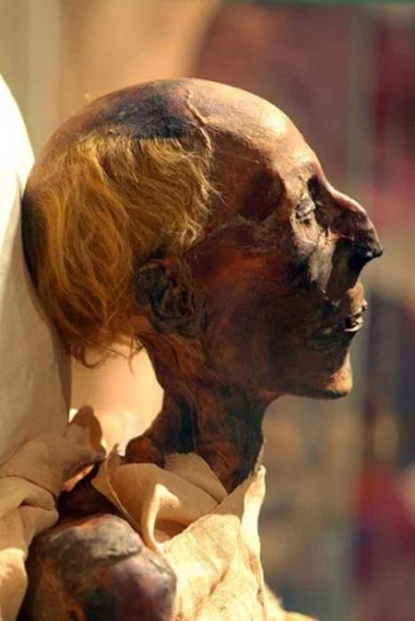 Mummy: Preserved dead human or animal