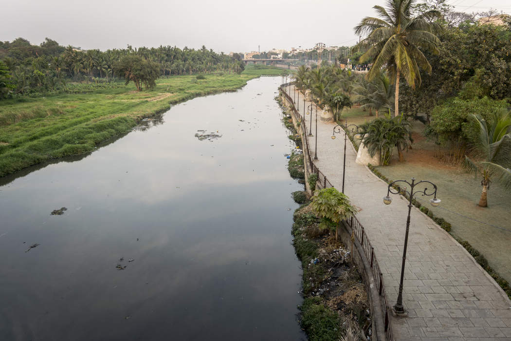 Musi River (India): River in Telangana, India