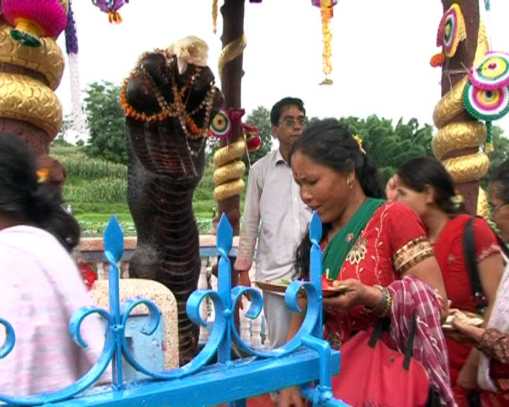 Naga Panchami: Hindu festival honouring serpents