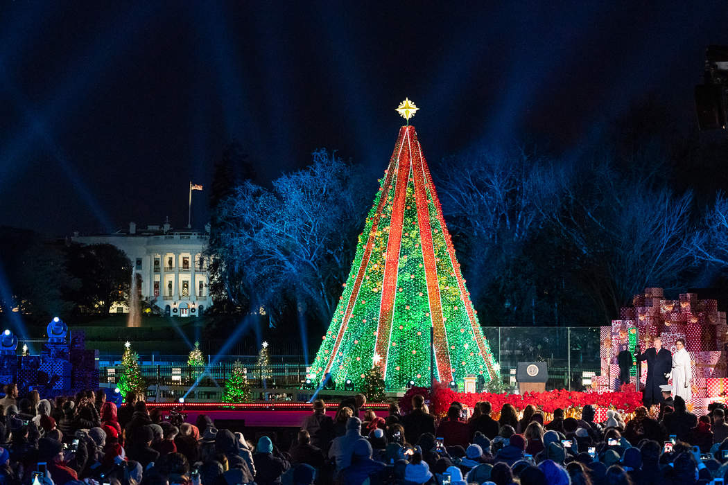 National Christmas Tree (United States): Large Christmas tree near the White House in Washington, D.C.