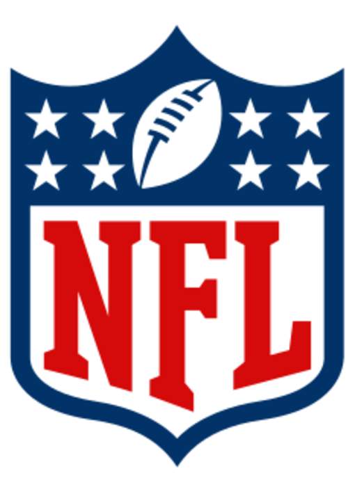 National Football League: Professional American football league