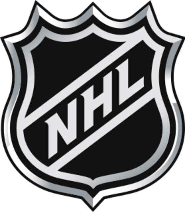 National Hockey League: North American professional ice hockey league