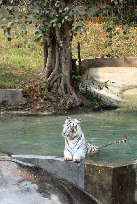 National Zoological Park Delhi: National Zoo at Delhi