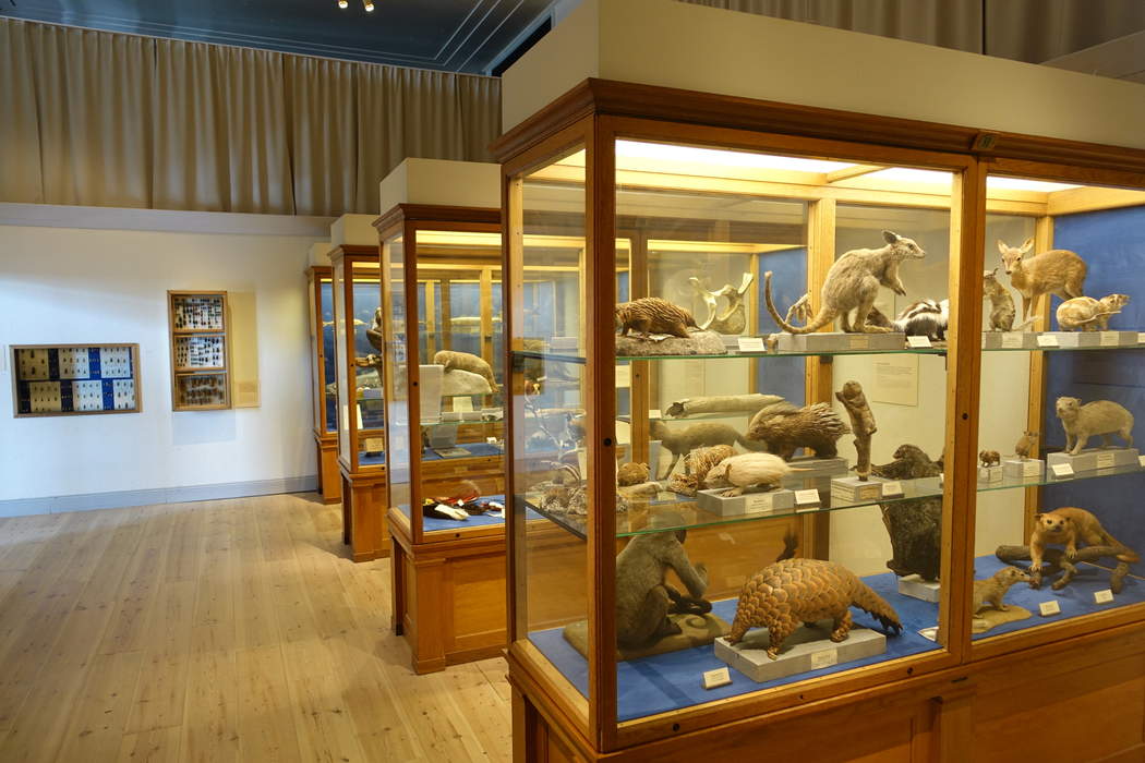 Natural history museum: Institution that displays exhibits of natural historical significance