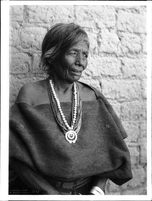 Navajo: Native American people of the Southwestern United States