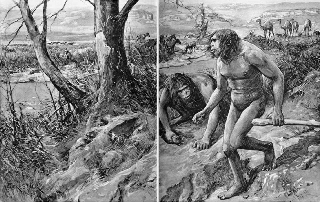 Nebraska Man: False ancient hominid species