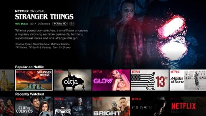 Netflix: American video streaming service