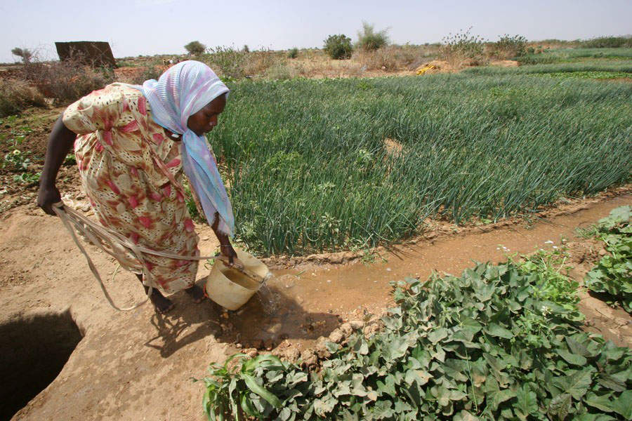 North Darfur: State of Sudan