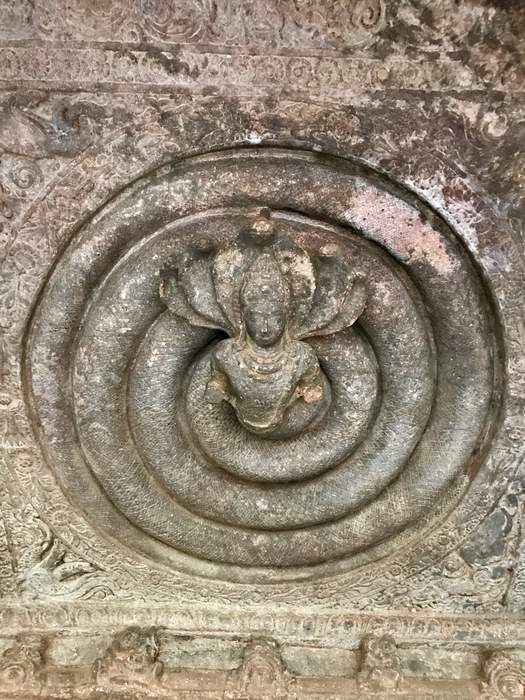 Nāga: Serpentine mythological creatures in Indian religions