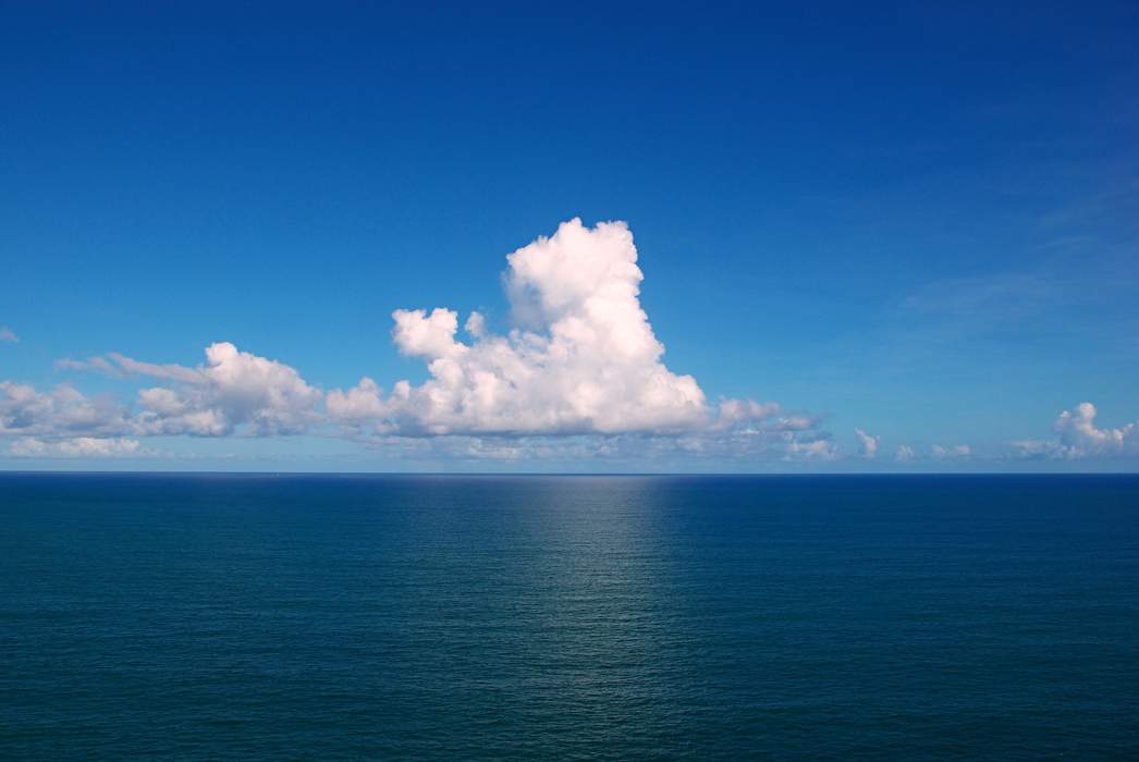 Ocean: Salt water covering most of Earth