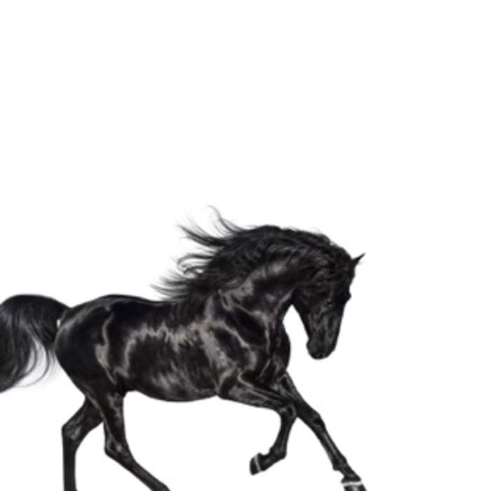 Old Town Road: 2018 single by Lil Nas X