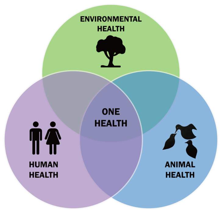 One Health: Collaborative global initiative