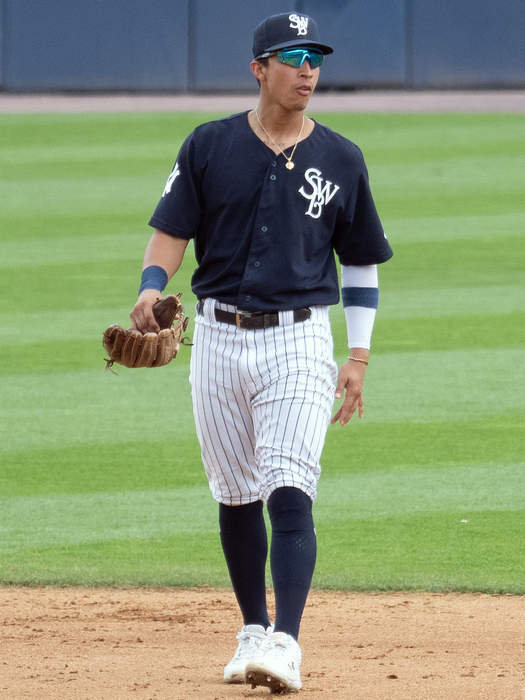 Oswaldo Cabrera: Venezuelan baseball player (born 1999)