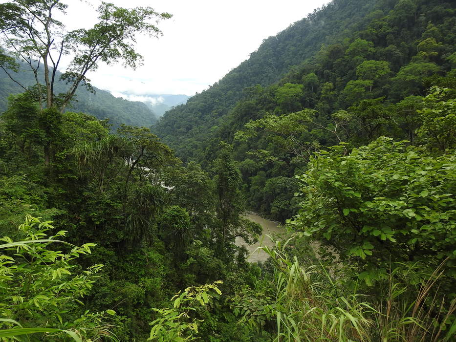 Pakke-Kessang district: District of Arunachal Pradesh in India