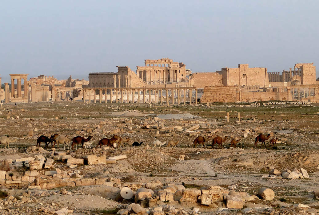 Palmyra: Ancient city in Homs Governorate, Syria
