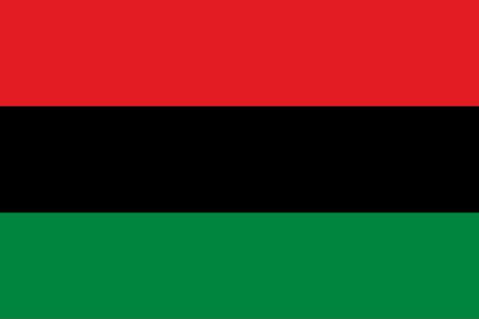 Pan-Africanism: Movement encouraging solidarity between people of African ancestry
