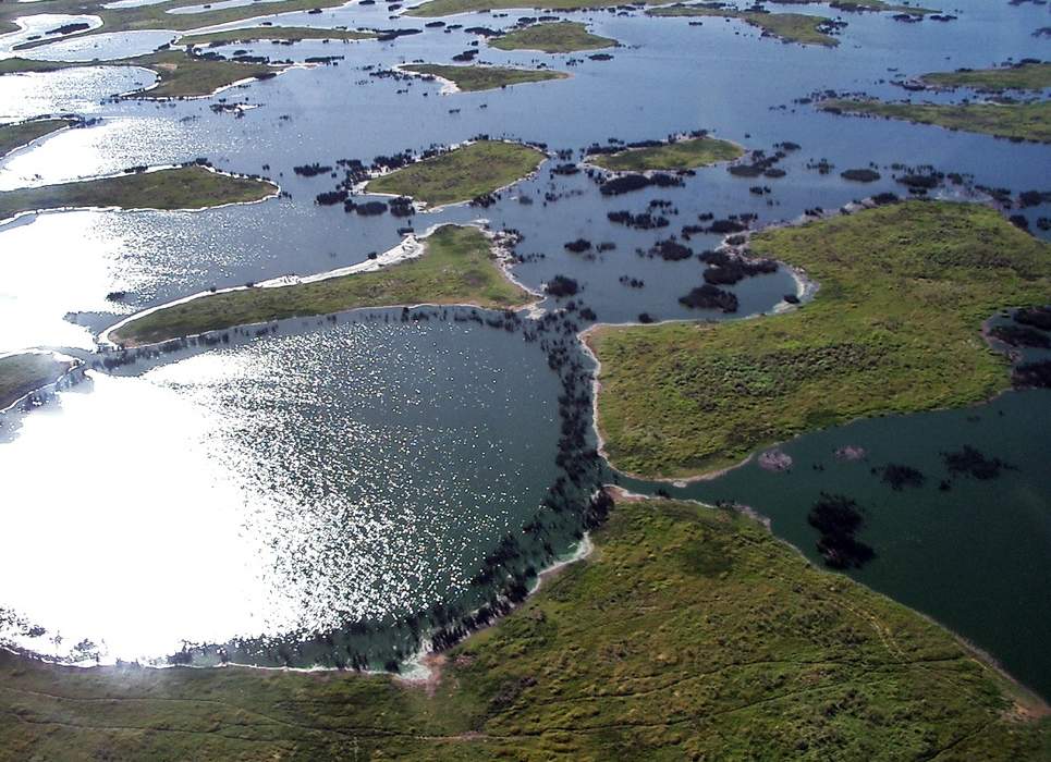 Pantanal: Tropical wetland in Brazil, Bolivia and Paraguay