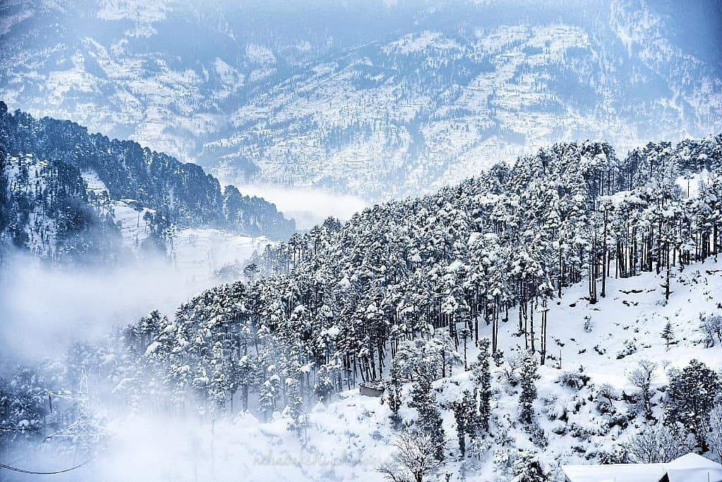 Patnitop: Hill Station in Jammu and Kashmir, India