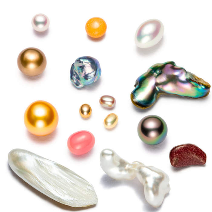 Pearl: Hard object produced within a living shelled mollusc