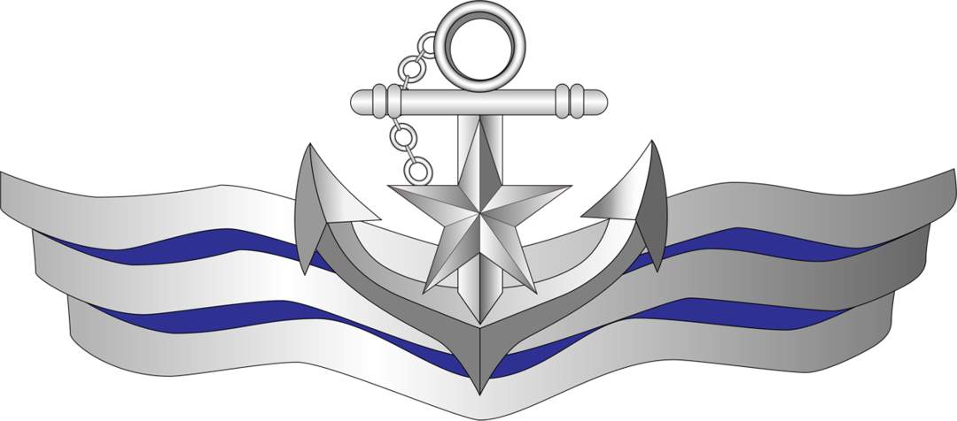 People's Liberation Army Navy: Maritime service branch of the Chinese People's Liberation Army