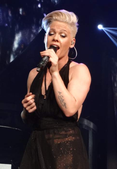 Pink (singer): American singer-songwriter (born 1979)