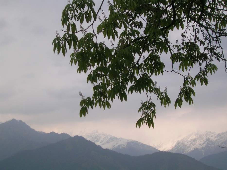 Pithoragarh: Town in Kumaon division, Uttarakhand, India