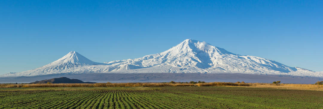 Plain: Expanse of land that is mostly flat and treeless