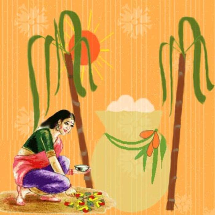 Pongal (festival): Tamil Hindu harvest festival