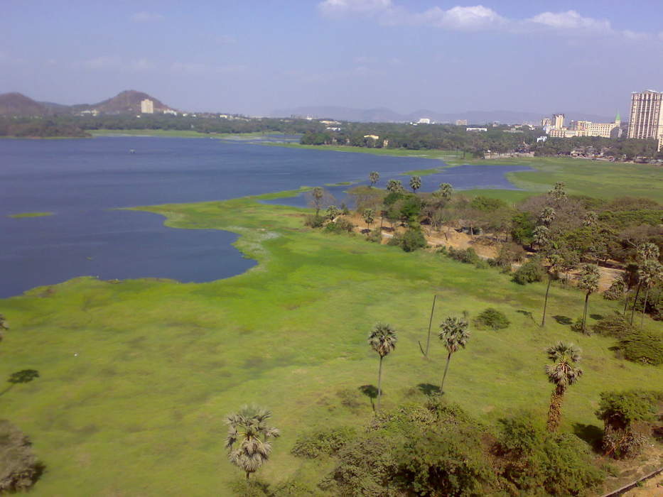 Powai Lake: Lake in Mumbai