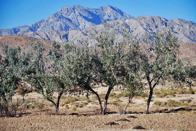 Quetta: Capital of Balochistan, Pakistan