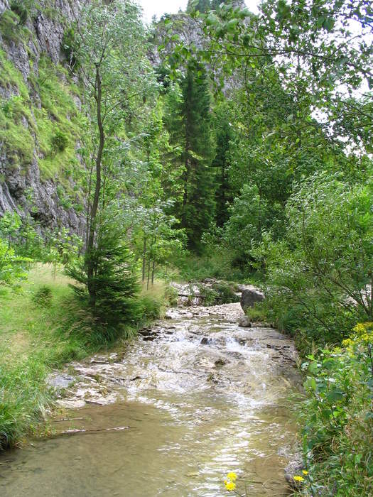 Ravine: Small valley, often due to stream erosion