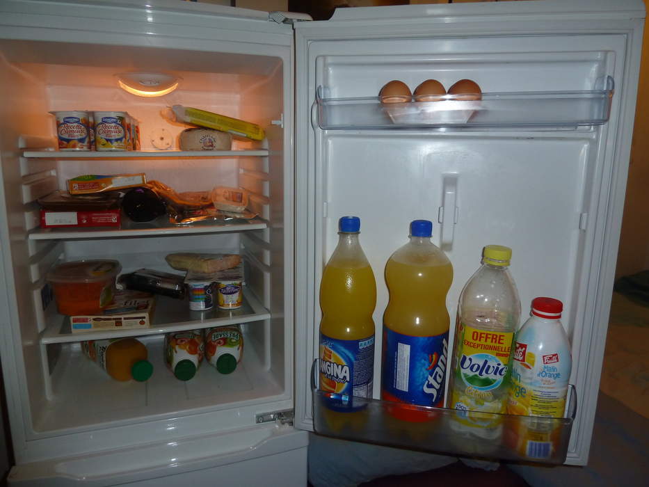 Refrigerator: Appliance for cold food storage