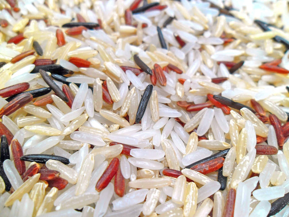 Rice: Cereal (Oryza sativa)