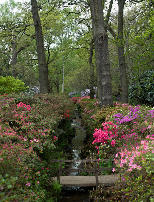 Richmond Park: Royal Park in London, England