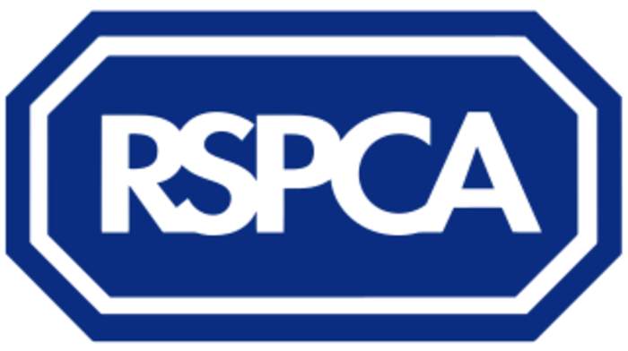 RSPCA: Animal welfare charity in England and Wales