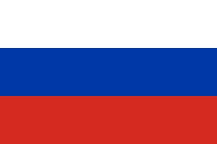 Russians: East Slavic ethnic group