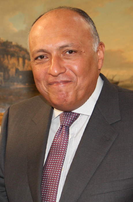 Sameh Shoukry: Egyptian diplomat (born 1952)
