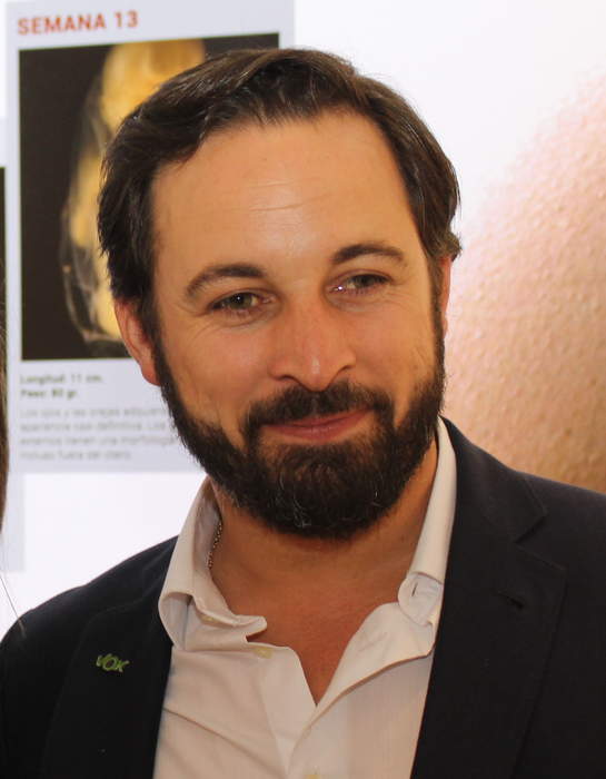 Santiago Abascal: Spanish politician (born 1976)