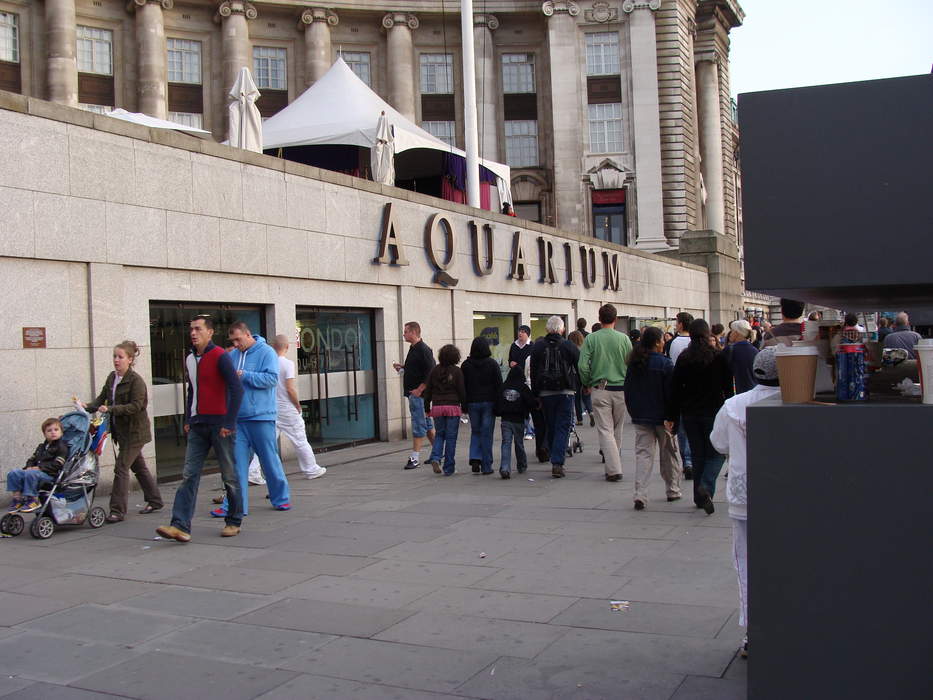 Sea Life London Aquarium: 