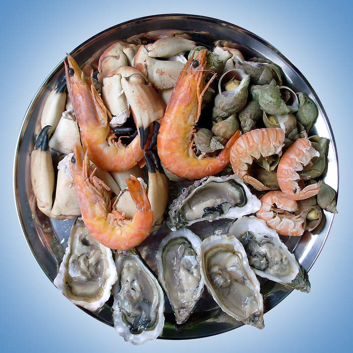 Seafood: Food from the sea