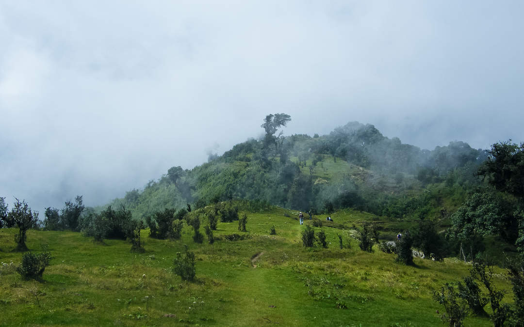 Singalila National Park: National park of India on the Singalila Ridge in Darjeeling district, West Bengal