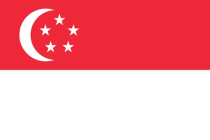 Singaporeans: Nation and citizenship category