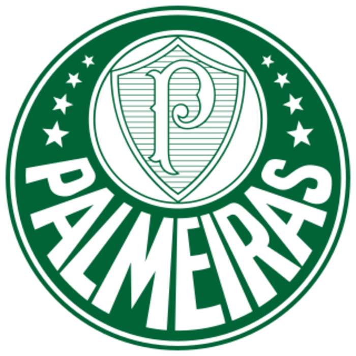 SE Palmeiras: Brazilian professional football club