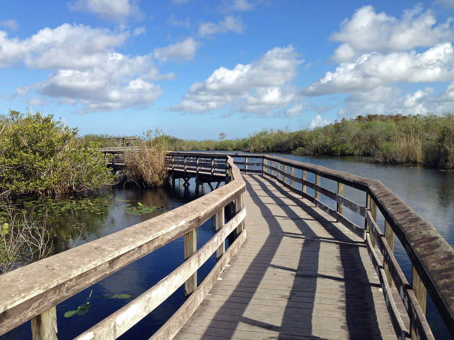 South Florida: Geographic and cultural region in Florida.