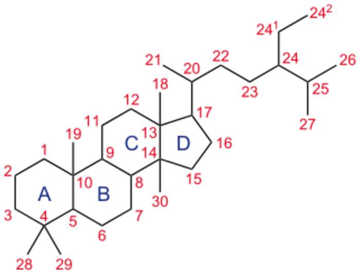 Steroid: Any organic compound having sterane as a core structure